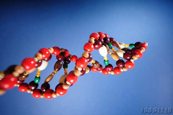 ذخیره اطلاعات بر روی DNA