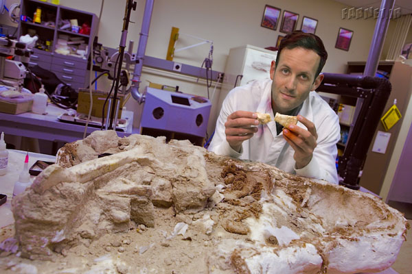 Stony Brook, NY; Stony Brook University Health Science Center: Vertebrate paleontologist Michael D'Emic