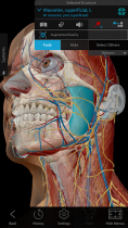 Human Anatomy Atlas2