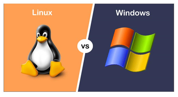 هاست لینوکس یا ویندوز؛ کدام بهتر است؟